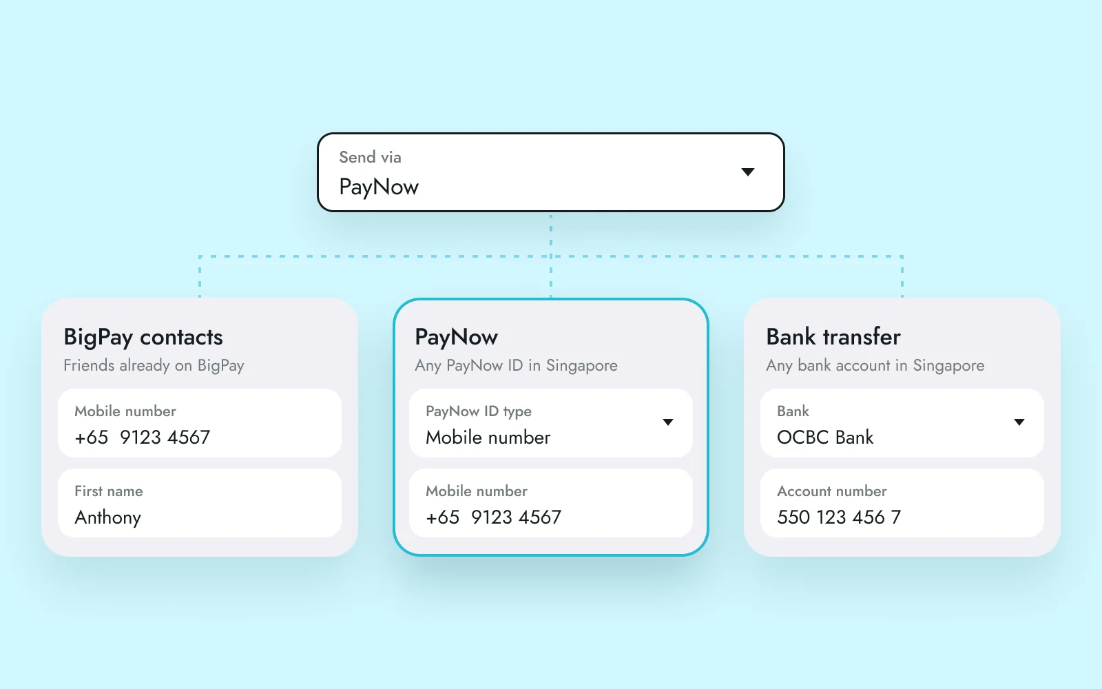 Send via PayNow, with the three sending options: BigPay contacts, PayNow and bank transfer, each asking for different details